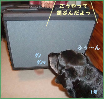 081205_2.jpg