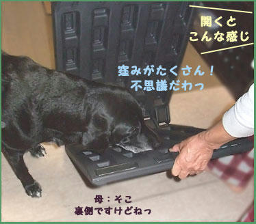 081205_3.jpg