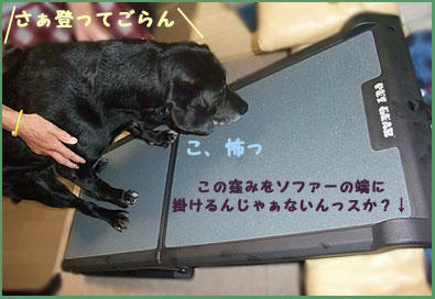 081205_4.jpg