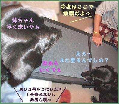 081205_6.jpg