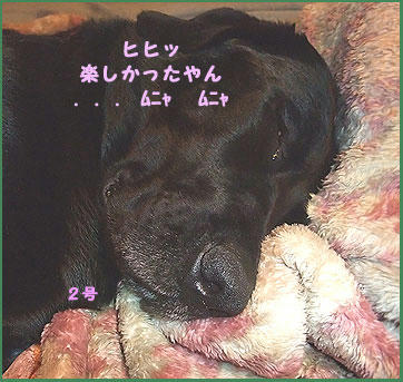 081205_8.jpg