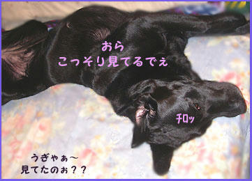 081212_1.jpg