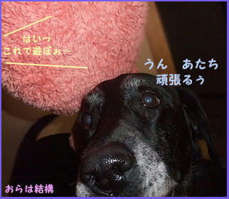 081212_2.jpg