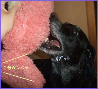 081212_3.jpg