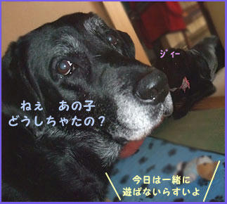 081212_5.jpg