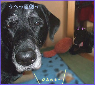 081212_7.jpg
