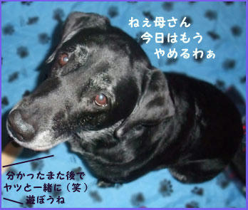 081212_8.jpg