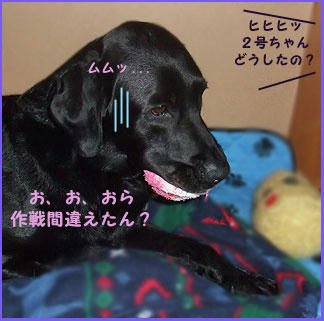 081212_9.jpg