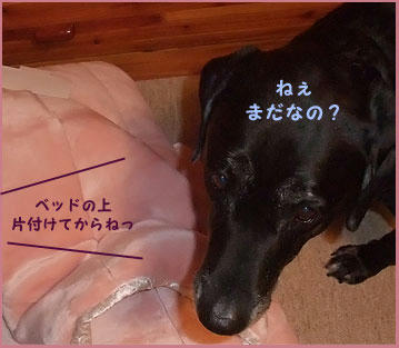 081214_4.jpg