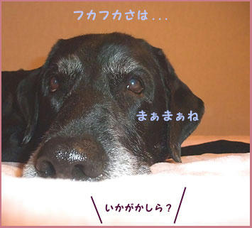 081214_7.jpg