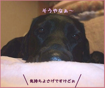 081214_8.jpg