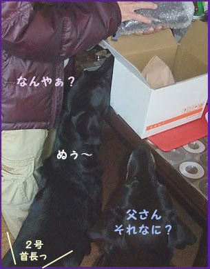081224_1.jpg