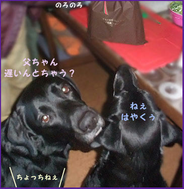 081224_4.jpg