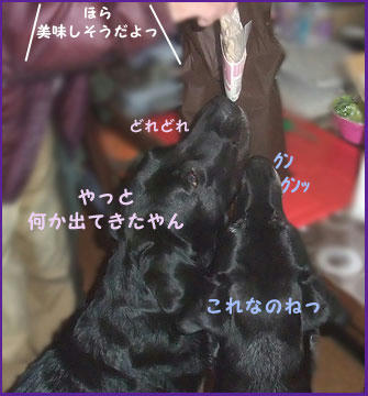 081224_5.jpg