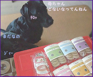 081224_6.jpg