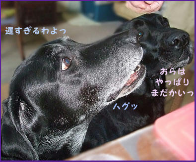 081224_9.jpg