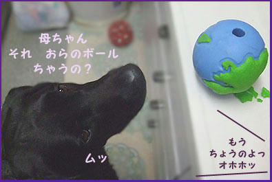 081224_11.jpg