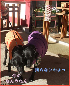 090111_8.jpg