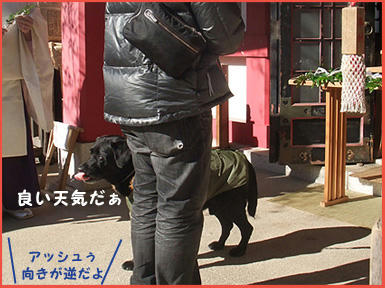 090111_9.jpg