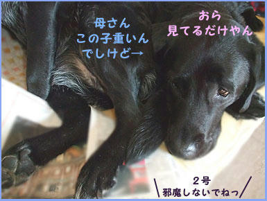 090206_2.jpg