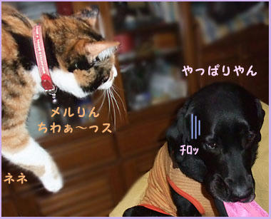 090210_2.jpg
