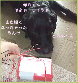 090213_3.jpg