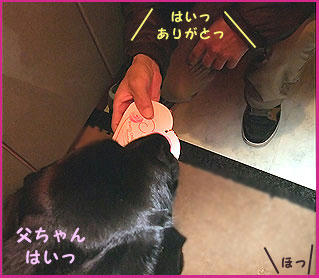 090214_8.jpg