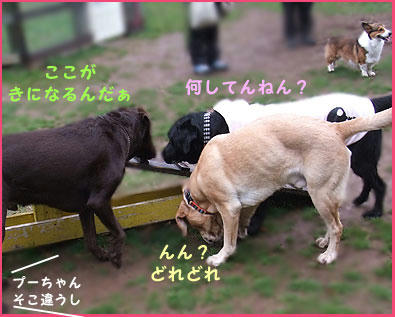 090301_3.jpg