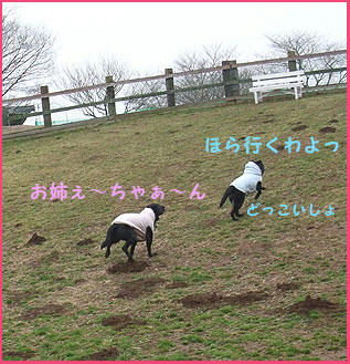 090301_12.jpg
