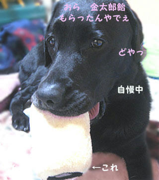 090508_9.jpg