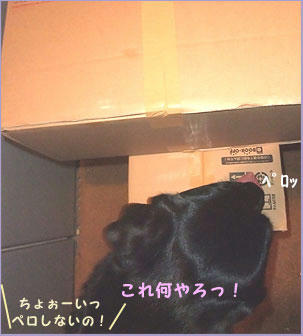 090805_2.jpg