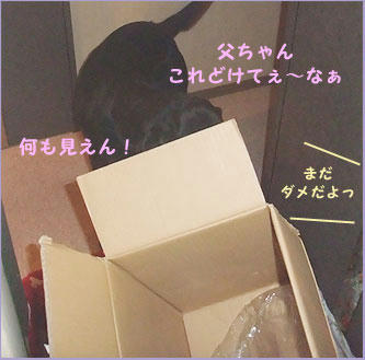 090805_4.jpg