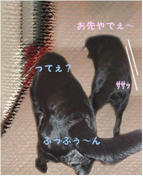 090808_3.jpg