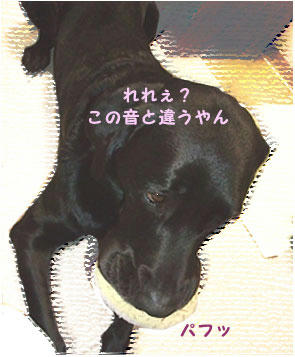 090808_10.jpg