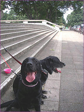 090905_0.jpg