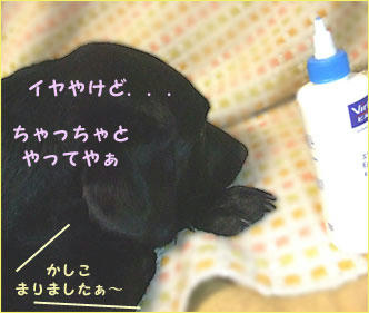 090908_2.jpg