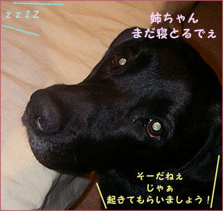 090910_1.jpg