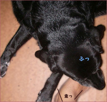 090910_3.jpg