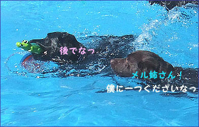 090914_7.jpg