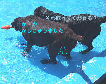 090914_9.jpg