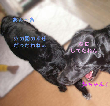 090915_6.jpg