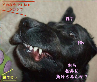 090920_6.jpg