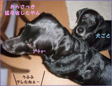 091001_3.jpg