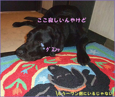 091001_6.jpg