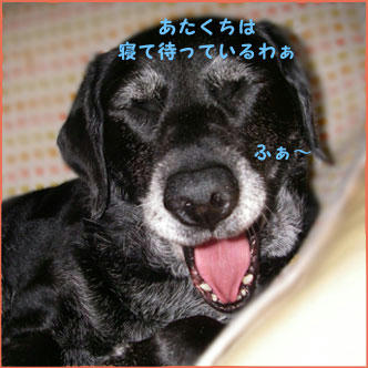 091003_4.jpg
