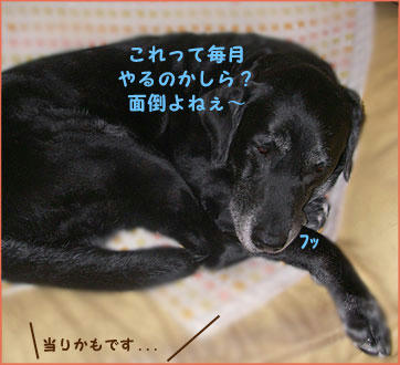 091003_7.jpg