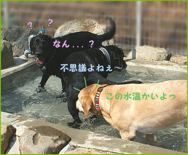 091007_3.jpg