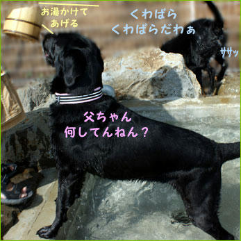 091007_6.jpg
