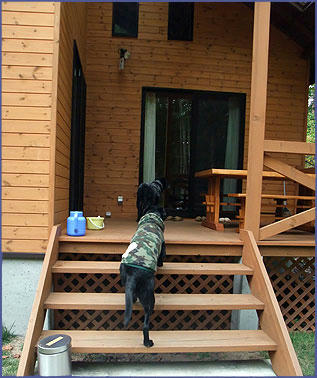 091008_4.jpg