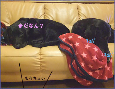 091008_7.jpg